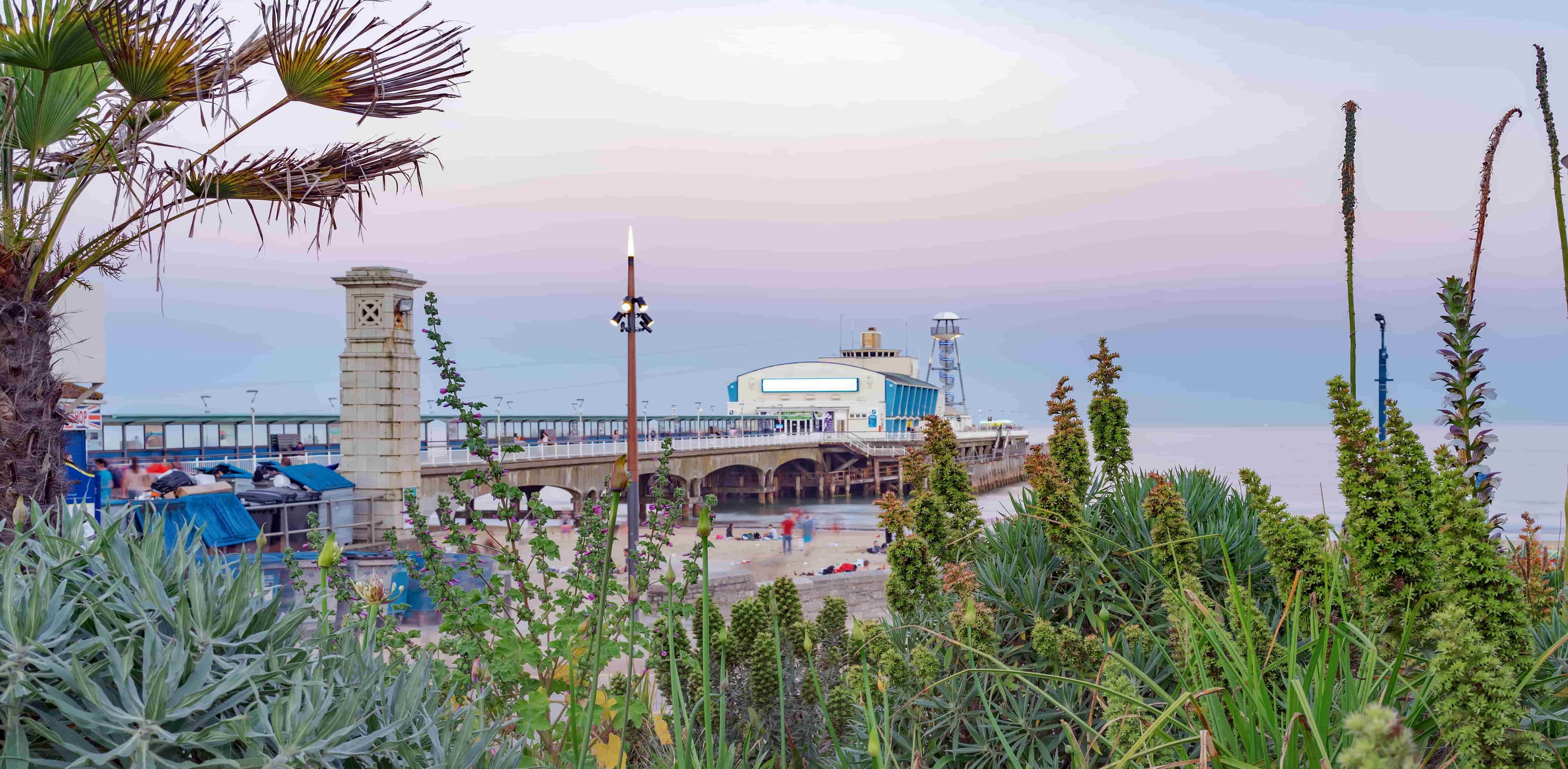 Reed Recruitment Agency Bournemouth