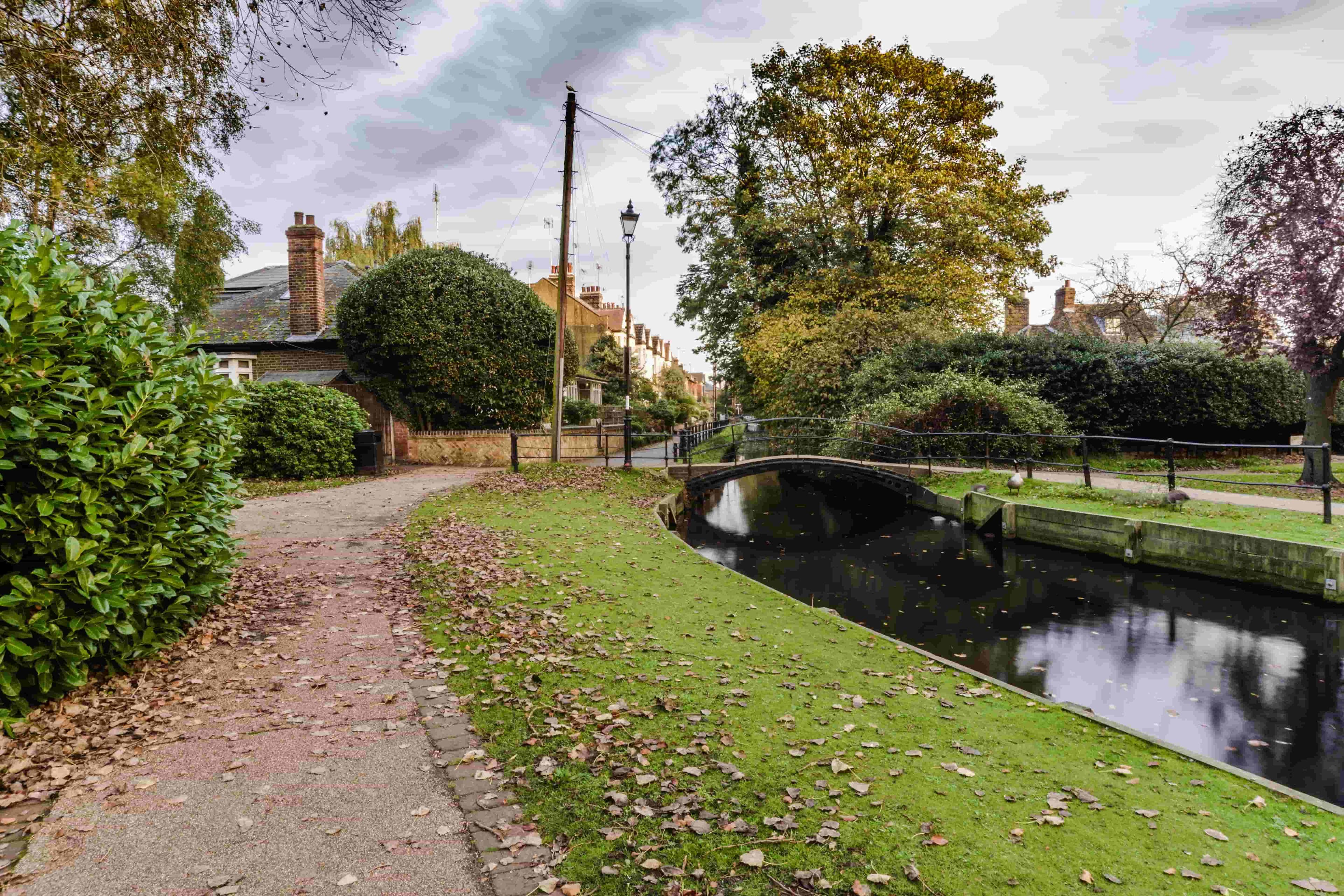 Reed Recruitment Agency Enfield