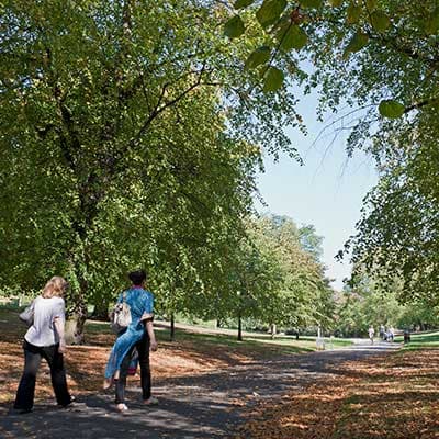 Two people walking on a tree-lined path in Nottingham covered with fallen leaves in a sunny park with green foliage overhead.