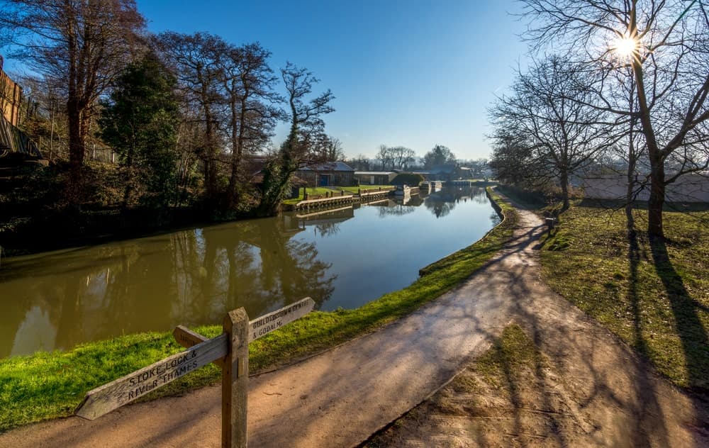 Reed Recruitment Agency Guildford